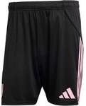 ADIDAS Herren Teamhose Juventus Turin 25/26 Heim