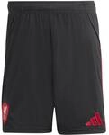 ADIDAS Herren Teamhose Liverpool FC 25/26 Ausw&auml;rtsshorts