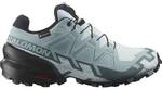 SALOMON Damen Trailrunningschuhe SHOES SPEEDCROSS 6 GTX W Bllblu/Black/To