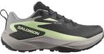 SALOMON Damen Trailrunningschuhe SHOES GENESIS GTX W Black/Gull/Pating