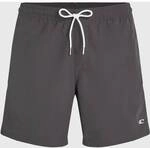 O'NEILL Herren Shirt VERT 16'' SWIMSHORTS