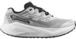 SALOMON Damen Laufschuhe SHOES AERO BLAZE 3 GRVL W LunRoc/Wht/Bla