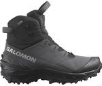 SALOMON Herren Stiefel SHOES CROSSTRAK POWDER WP Asphal/Black/S