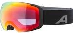 ALPINA Herren Brille FALERA MAG Q