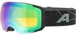 ALPINA Herren Brille FALERA MAG Q-LITE