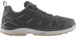 LOWA Herren Multifunktionsschuhe INNOX EVO II GTX