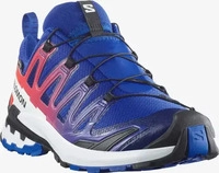 Salomon L47982600, SALOMON Herren Trekkingsandale SHOES XA PRO 3D V9 GTX EQUIPE Surf