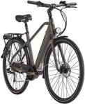 HOLLANDIA Alu E-Citybike Herren Hollandia Mantova 28'' grau 7 G&auml;nge