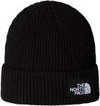 THE NORTH FACE Herren M&uuml;tze SALTY LINED BEANIE