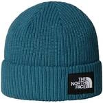 THE NORTH FACE Herren M&uuml;tze SALTY LINED BEANIE
