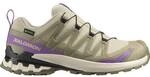 SALOMON Damen Trailrunningschuhe SHOES XA PRO 3D V9 GTX W Bog/Aloe/Concog
