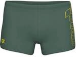 ARENA Badehose MEN'S SCRATCHY SWIM SHORT