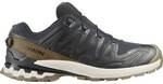 SALOMON Herren Trailrunningschuhe SHOES XA PRO 3D V9 GTX LIFELONG M Black