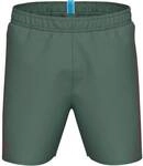 ARENA Herren Badeshorts FUNDAMENTALS LOGO BOXER