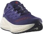 SALOMON Herren Laufschuhe SHOES AERO GLIDE 3 GRVL Astral/Vanila/Ha