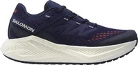 Salomon L47869800, SALOMON Herren Laufschuhe SHOES AERO GLIDE 3 GRVL Astral/Vanila/Ha