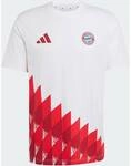ADIDAS Herren Fanshirt FC Bayern M&uuml;nchen Anthem Grafik