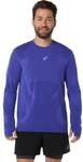 ASICS Herren T-Shirt ROAD SEAMLESS LS TOP