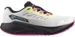 SALOMON Herren Laufschuhe SHOES AERO BLAZE 3 GRVL GTX Vanila/Black