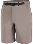 SALOMON Herren Shorts WAYFARER 2.0 SHORTS M IRON