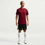 NIKE Herren Trikot M NK DF PARK VIII JSY SS