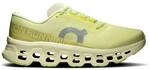 ON Herren Laufschuhe Cloudmonster 3