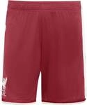 ADIDAS Herren Teamhose FC Liverpool 26/27 Heim