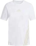 ADIDAS Damen T-Shirt Terrex Xperior CLIMACOOL+