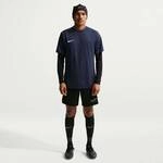 NIKE Herren Trikot M NK DF PARK VIII JSY SS