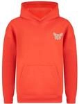 SMILODOX Hoodie Nala
