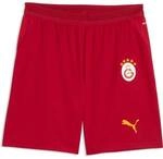 PUMA Herren Shorts Galatasaray S.K. 26/27