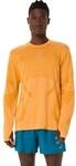 ASICS Herren T-Shirt ROAD SEAMLESS LS TOP