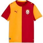 PUMA Kinder Trikot Galatasaray S.K. Heim 26/27