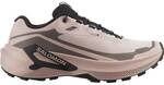 SALOMON Damen Running-Trail-Sch. Da SHOES GENESIS 2 GTX W Shadow/Iron/Black