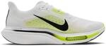 NIKE Herren Laufschuhe PEGASUS PLUS 2