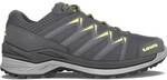 LOWA Herren Multifunktionsschuhe ONYX GTX LO