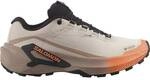 SALOMON Damen Running-Trail-Sch. Da SHOES GENESIS 2 GTX W Rainy/Dsrtan/Nectr