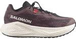 SALOMON Herren Running-Sch. He/Uni SHOES AERO GLIDE 4 GRVL W Huckle/Black/V