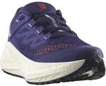 SALOMON Damen Laufschuhe SHOES AERO GLIDE 3 GRVL W Astral/Vanila