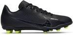 NIKE Kinder Fussball-Rasenschuhe JR VAPOR 15 CLUB FG/MG