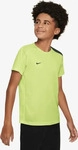 Nike FN8407, NIKE Kinder Shirt K NK DF STRK24 SS TOP Gr&uuml;n