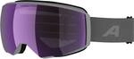 ALPINA Skibrillen/Gletscher GRANBY 2 S Q-LITE