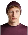 ICEBREAKER Herren M&uuml;tzen/Sturmhauben He/Uni U 200 Oasis Revers Beanie