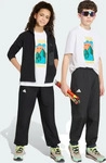 Adidas KE1005, ADIDAS Kinder Keilhose Terrex Multi 2 Layer Climaproof Schwarz