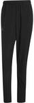 ADIDAS Herren Hose Terrex Multi Essentials Stretch