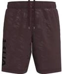 UNDER ARMOUR Herren Shorts Woven Emboss Shorts