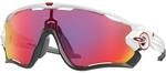 OAKLEY Herren Brille JAWBREAKER
