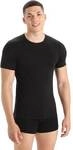 ICEBREAKER Herren Funktionsunterhemd / Unterhemd "Men&acute;s Anatomica S/S Crewe"