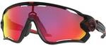 OAKLEY Herren Brille JAWBREAKER