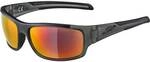 ALPINA Brille TESTIDO